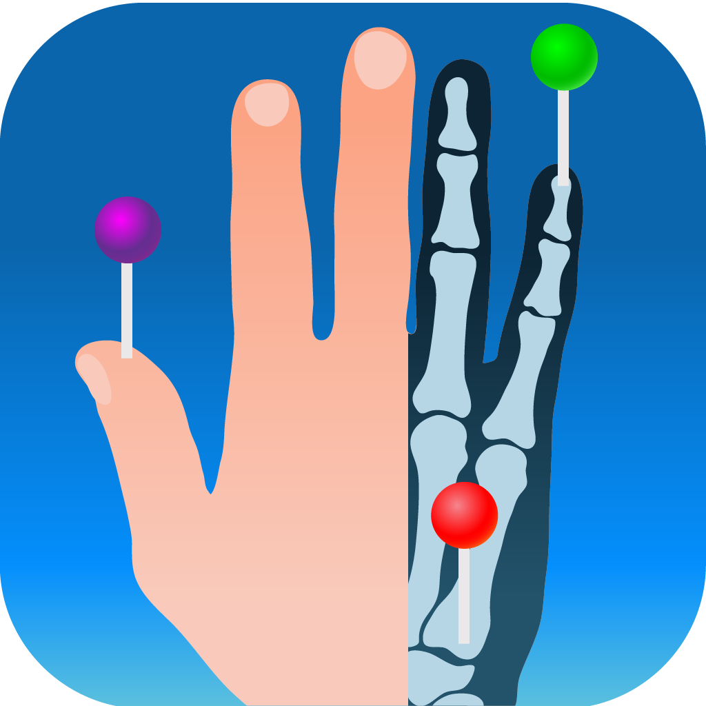 icon-e-anatomy.png